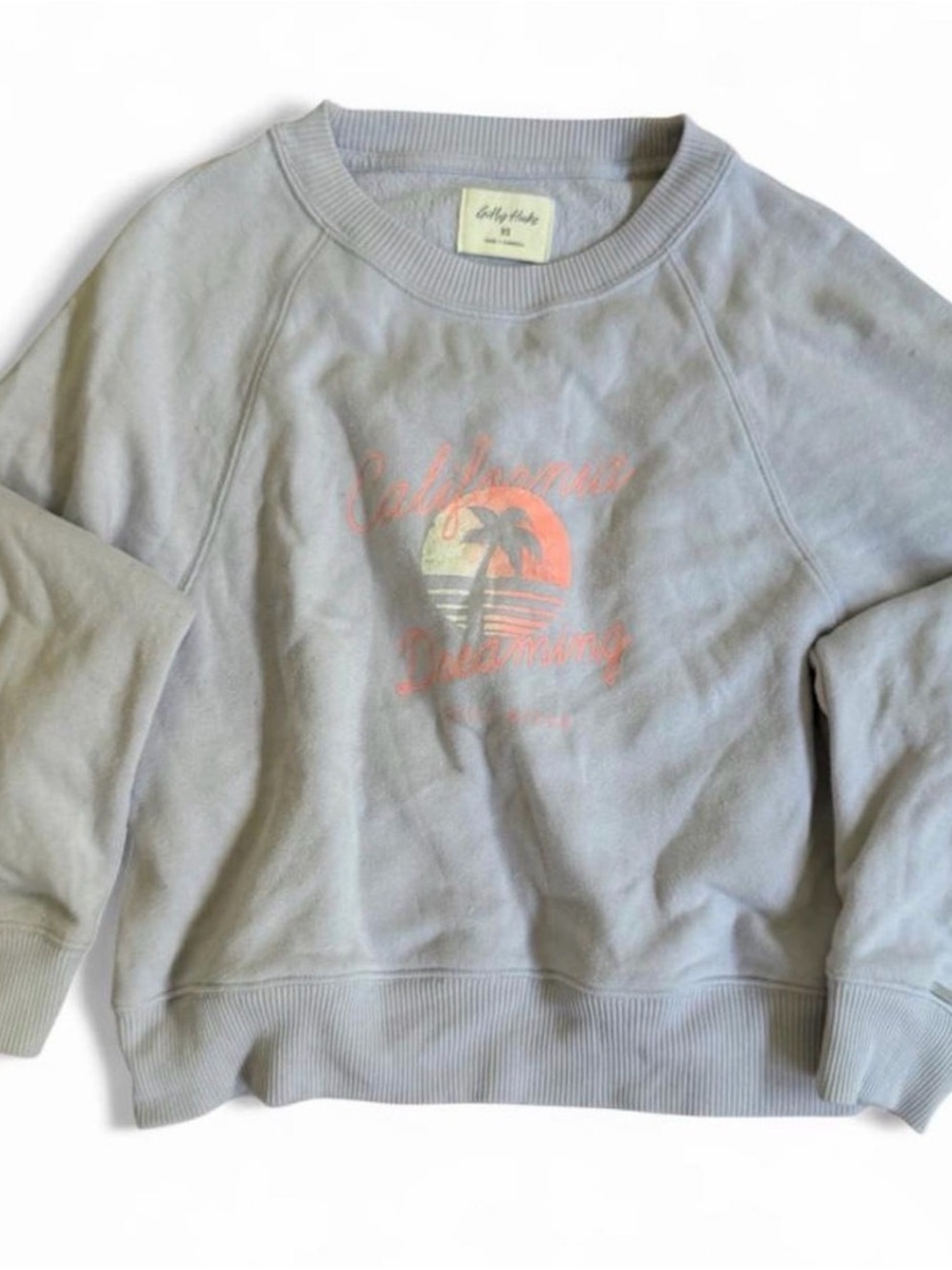 Gilly Hicks Light Gray Crewneck Sweatshirt with Coral Graphic
